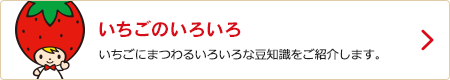いちごのいろいろ
