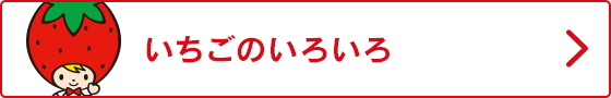 いちごのいろいろ