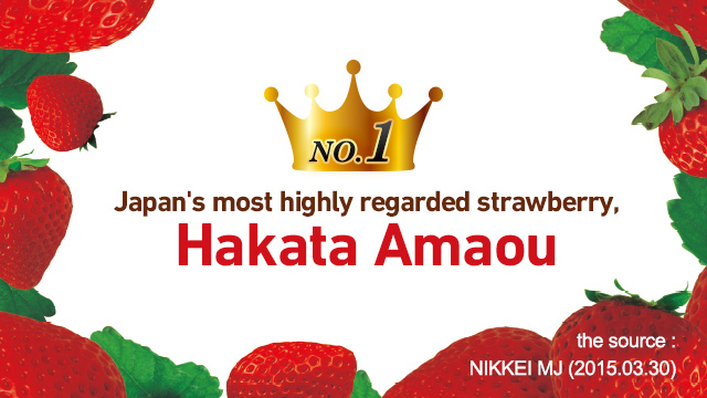 Japan's most highly regarded strawberry, Hakata Amaou