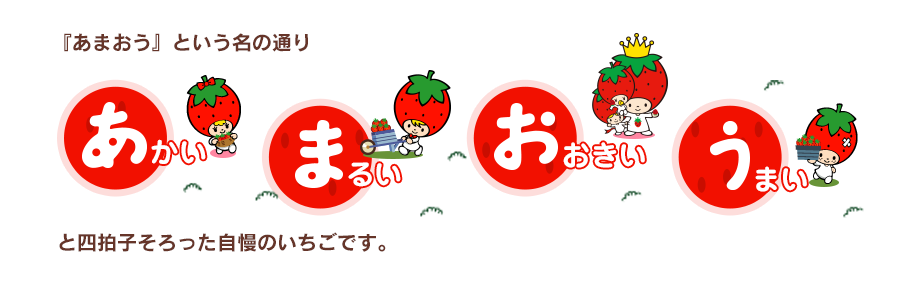 『あまおう』という名の通り「あかい」「まるい」「おおきい」「うまい」と四拍子そろった自慢のいちごです。