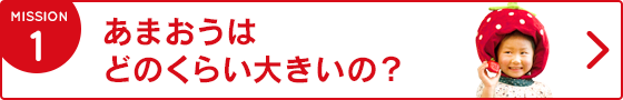 1.あまおうはどのくらい大きいの？