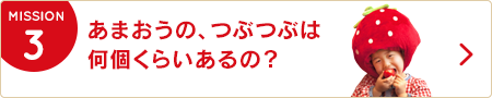 3.あまおうの、つぶつぶは何個くらいあるの？