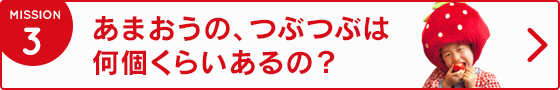 3.あまおうの、つぶつぶは何個くらいあるの？