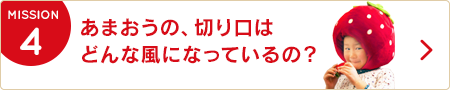 4.あまおうの、切り口はどんな風になってるの？