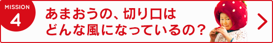 4.あまおうの、切り口はどんな風になってるの？