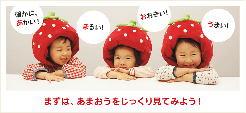 まずは、あまおうをじっくり見てみよう！