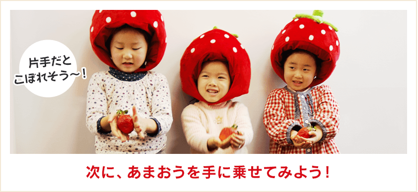次に、あまおうを手に乗せてみよう！