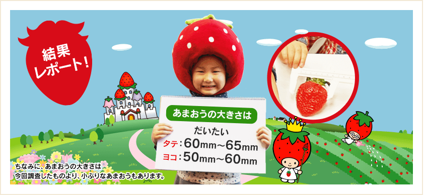 結果レポート：あまおうの大きさはだいたい、タテ：60mm～65mm、ヨコ：50mm～60mm
