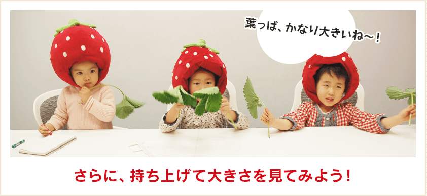 葉っぱを持ち上げて大きさを見てみよう！