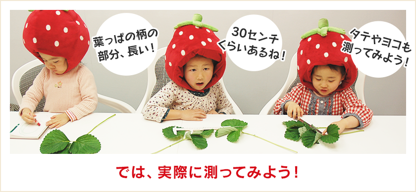 では、実際に測ってみよう！