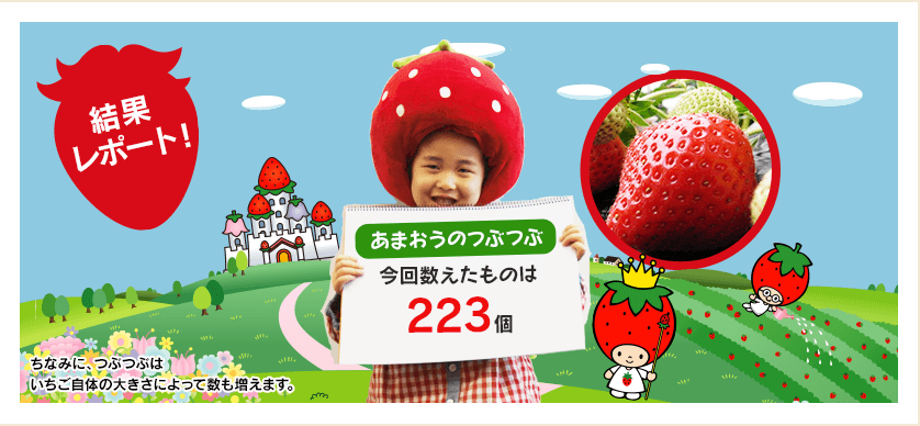 結果レポート：あまおうのつぶつぶ今回数えたものは223個