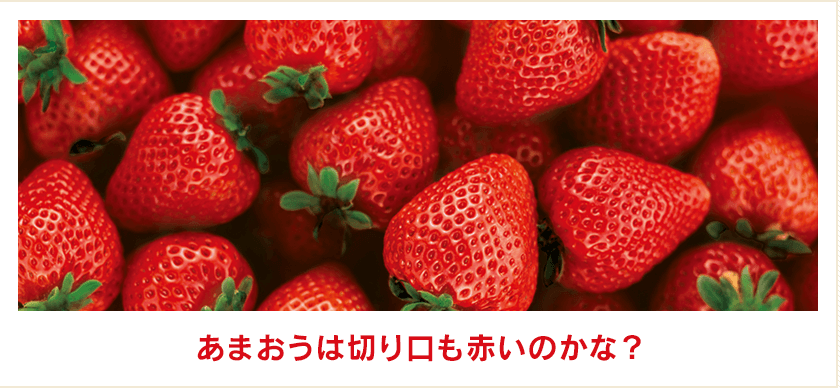 あまおうは切り口も赤いのかな？