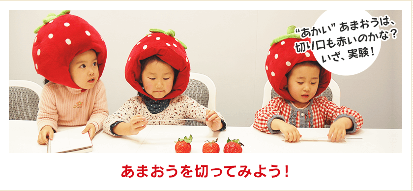 あまおうを切ってみよう！