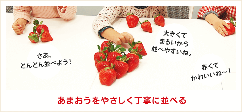 あまおうをやさしく丁寧に並べる
