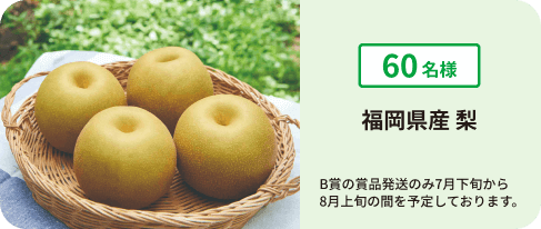 福岡県産梨（なし）詰合せ