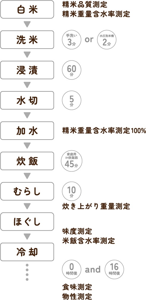 試験工程