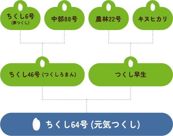 系譜図